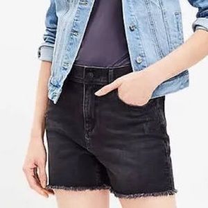Loft High Waisted Shorts 12